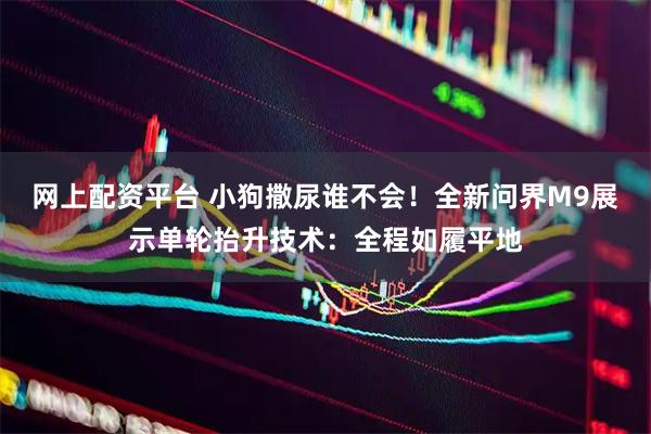 网上配资平台 小狗撒尿谁不会！全新问界M9展示单轮抬升技术：全程如履平地